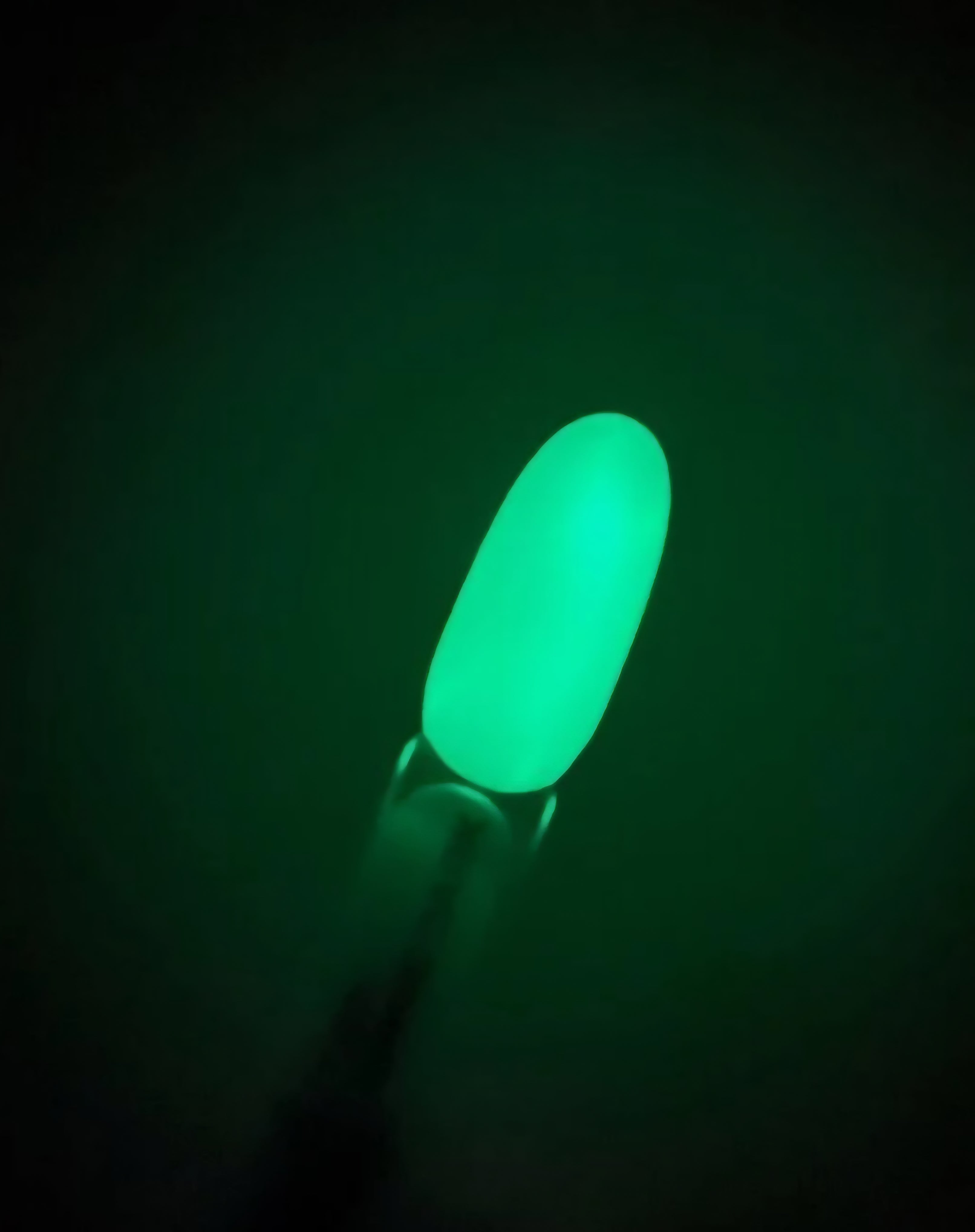Lunamoon Top Shine Dark Green